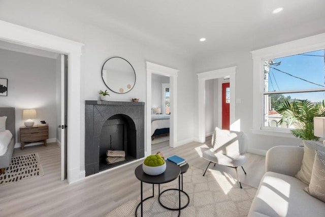 living room featuring light hardwood / wood-style floors