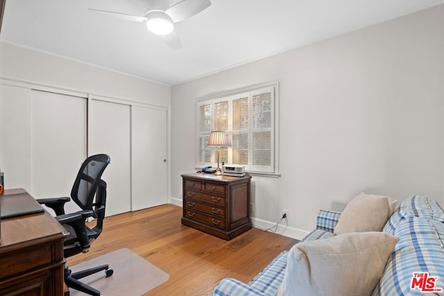 office space with ceiling fan and light hardwood / wood-style flooring