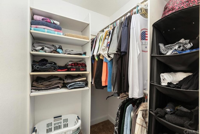 spacious closet with carpet floors