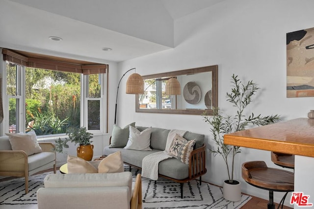 living room with hardwood / wood-style flooring