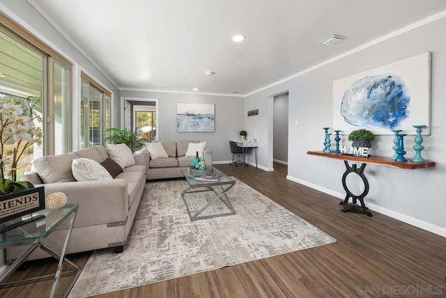 living room featuring crown molding and dark wood-type flooring