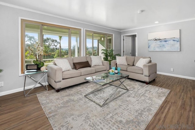 living room with ornamental molding and dark hardwood / wood-style floors