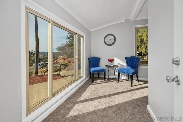 living area featuring lofted ceiling and carpet floors