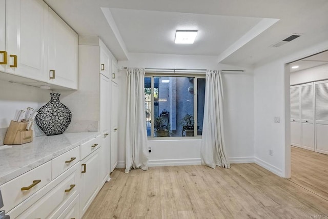 interior space with a raised ceiling and light wood-type flooring