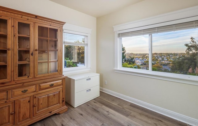 interior space featuring light hardwood / wood-style flooring