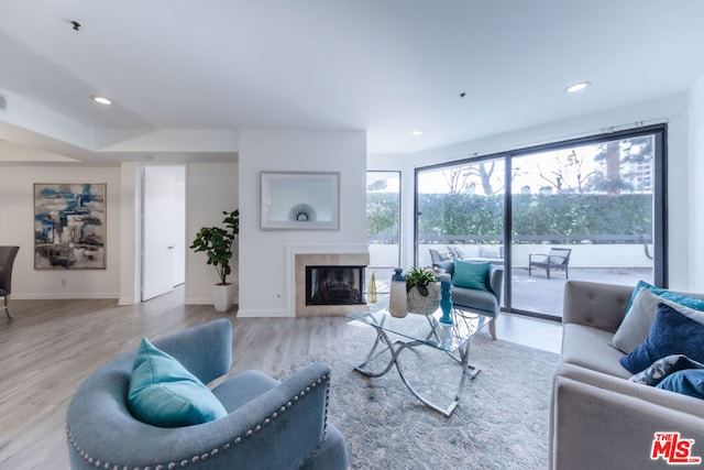 living room featuring light hardwood / wood-style floors