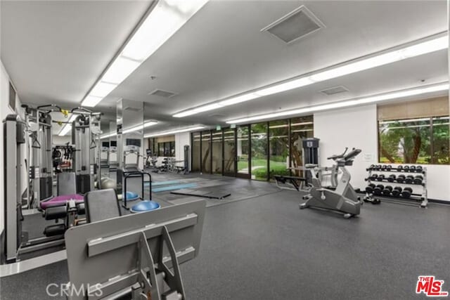 exercise room with a wealth of natural light