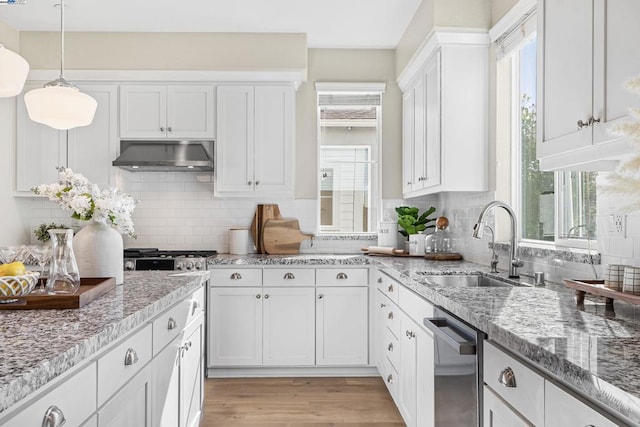 kitchen featuring extractor fan, plenty of natural light, sink, and white cabinets