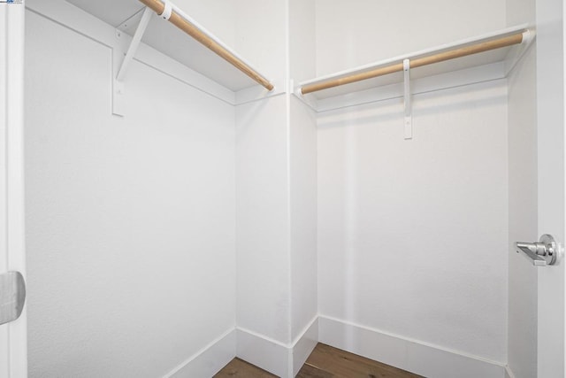 walk in closet with hardwood / wood-style flooring