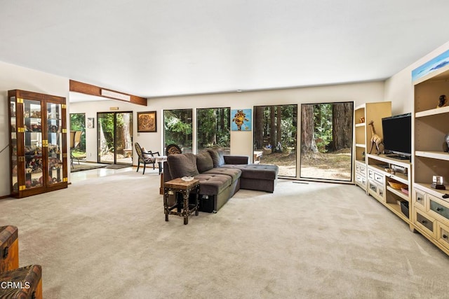 view of carpeted living room