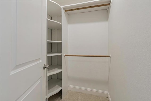 view of walk in closet