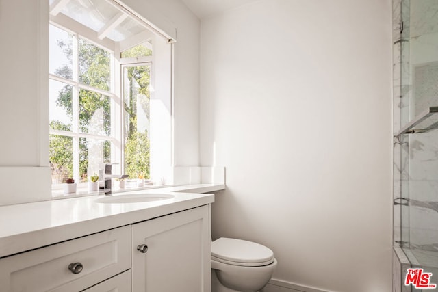 bathroom with vanity, toilet, and a shower with door