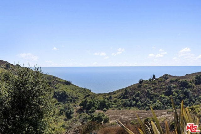 property view of mountains with a water view