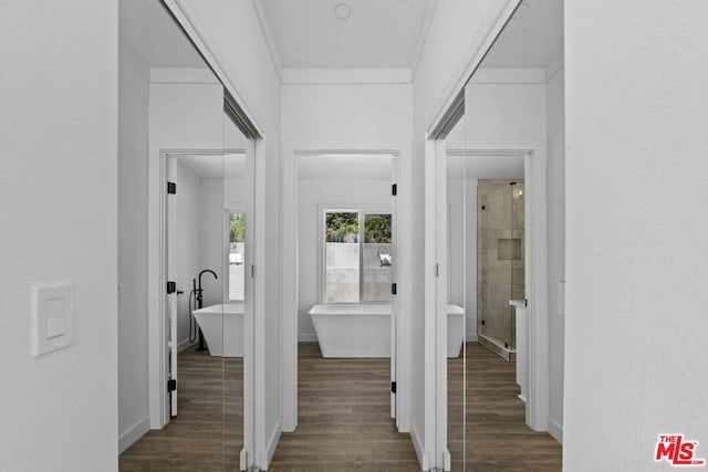 corridor featuring ornamental molding and dark wood-type flooring