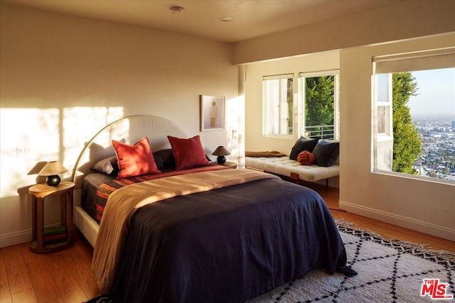 bedroom featuring wood-type flooring