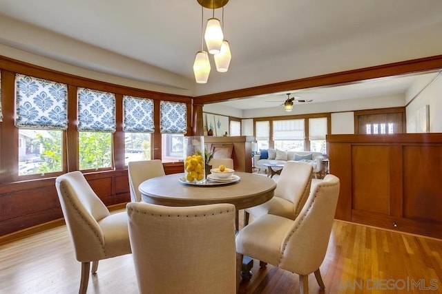 dining space with a wealth of natural light, ceiling fan, and light wood-type flooring