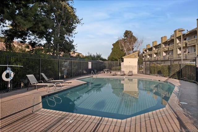 view of pool featuring a patio area