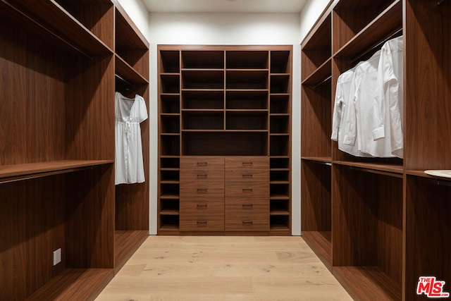 walk in closet featuring light hardwood / wood-style flooring