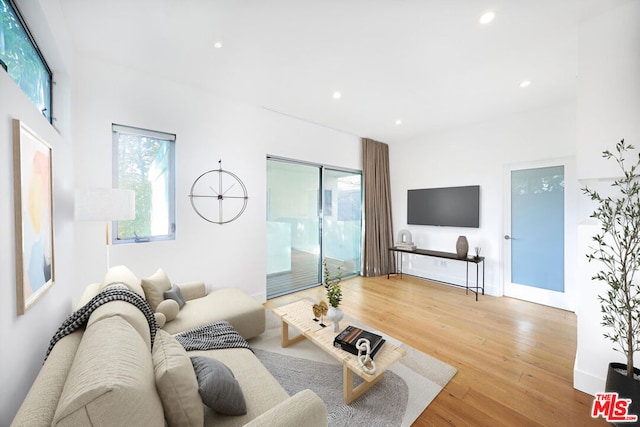 living room with hardwood / wood-style flooring