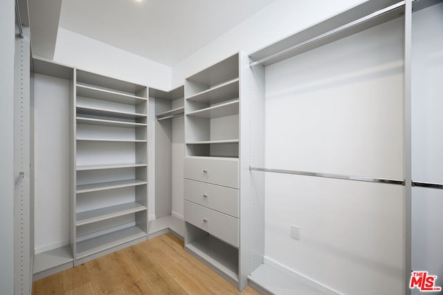 walk in closet with light wood-type flooring