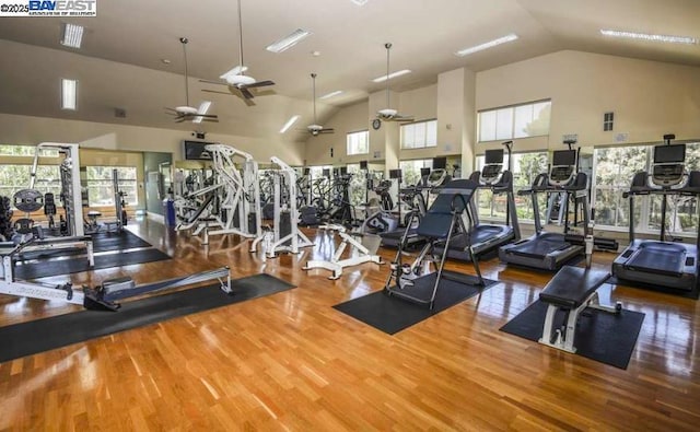 exercise room featuring ceiling fan, high vaulted ceiling, hardwood / wood-style floors, and plenty of natural light