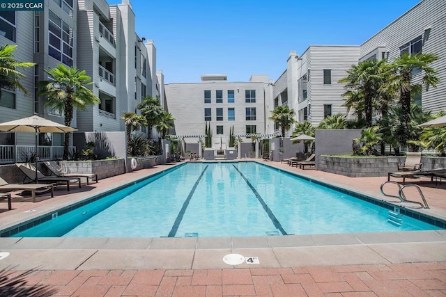 view of pool with a patio area