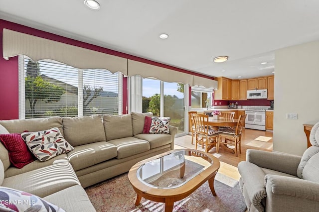 living room with light hardwood / wood-style flooring