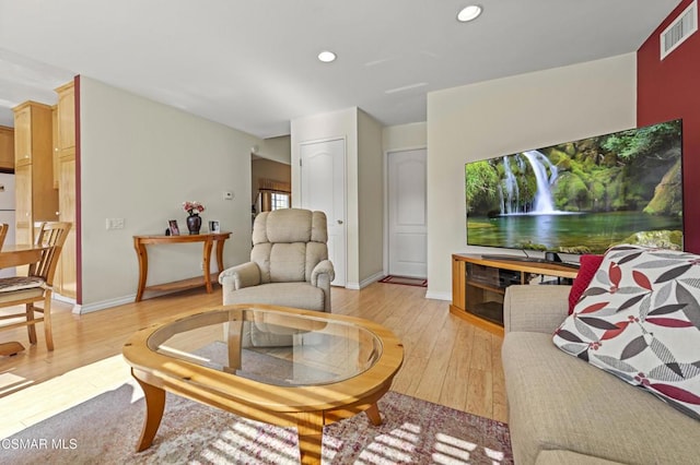 living room featuring light hardwood / wood-style flooring