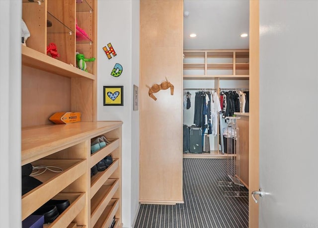 spacious closet featuring carpet