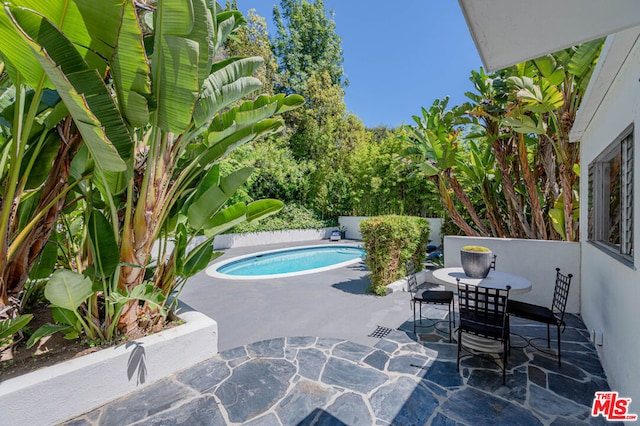 view of pool featuring a patio