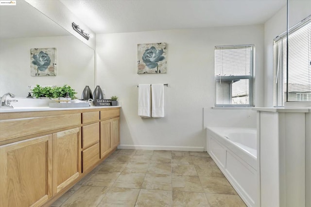 bathroom featuring a washtub, vanity, and plenty of natural light