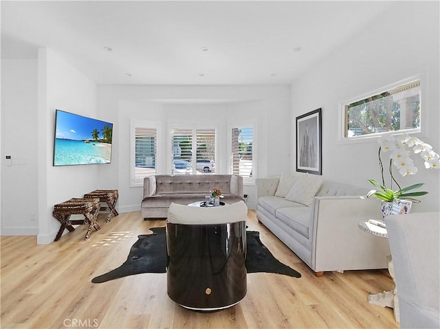 living room featuring light wood-type flooring