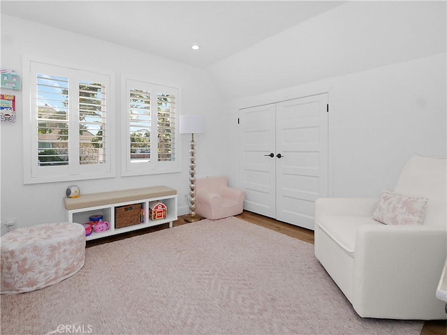 living area with vaulted ceiling and wood-type flooring