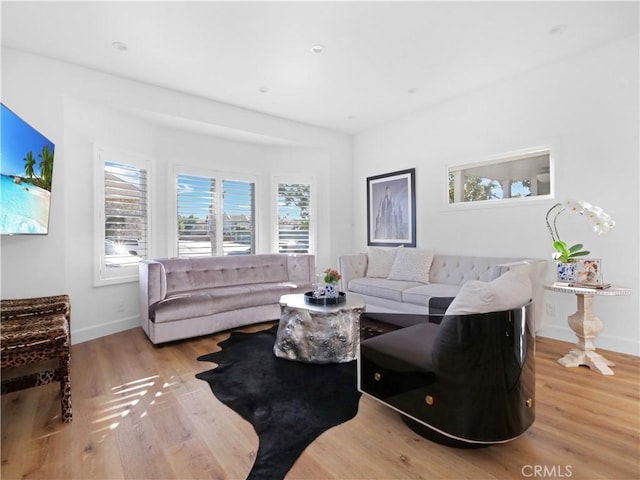 living room with light hardwood / wood-style flooring