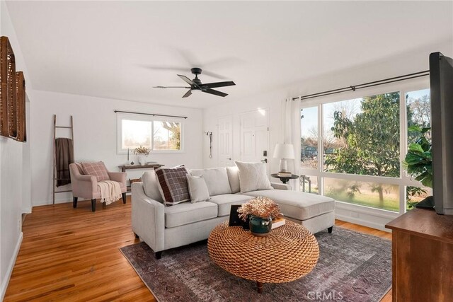 living room featuring ceiling fan and hardwood / wood-style floors