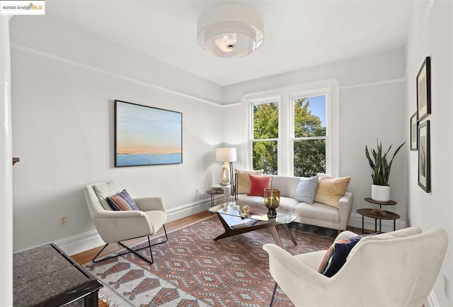 living room with hardwood / wood-style floors