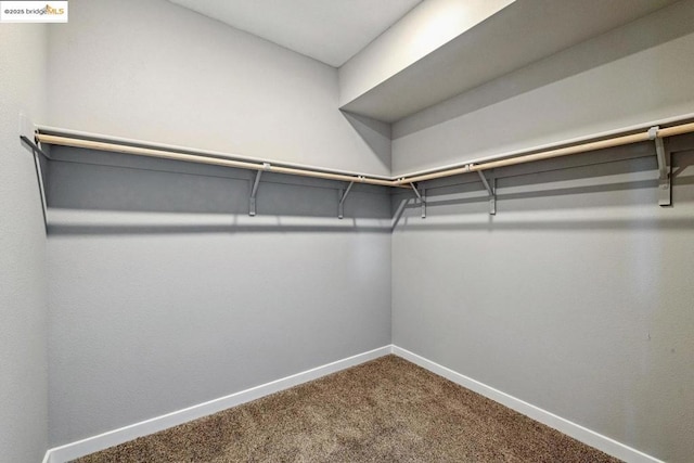 walk in closet featuring carpet flooring