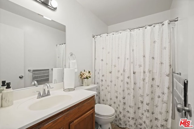 bathroom with vanity, walk in shower, and toilet