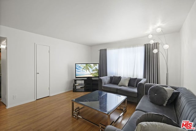 living room featuring hardwood / wood-style floors