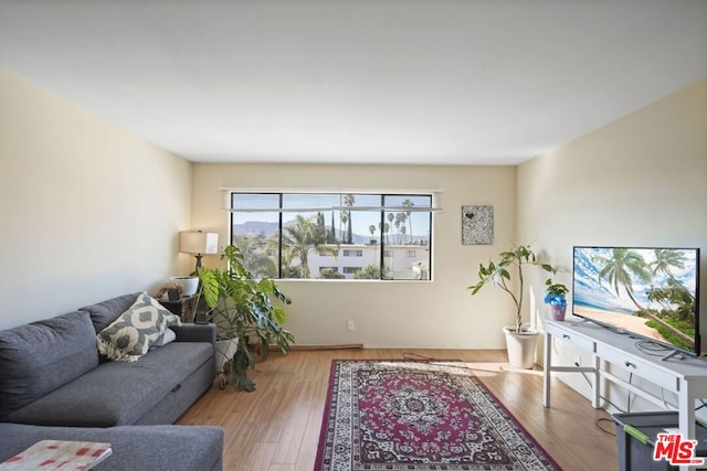 living room with light hardwood / wood-style flooring