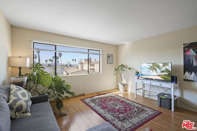 living room with hardwood / wood-style floors