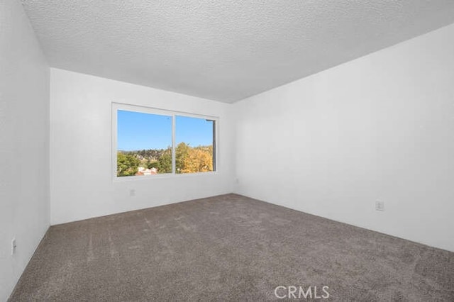 unfurnished room with carpet flooring and a textured ceiling