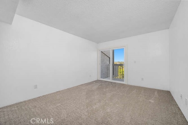 spare room with carpet flooring and a textured ceiling