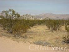 17996 Pearmain St, Adelanto CA, 92301 land for sale