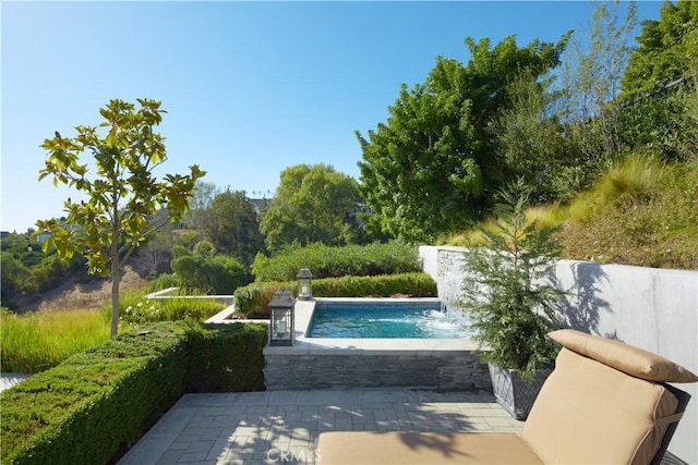 view of community featuring a pool and a patio area