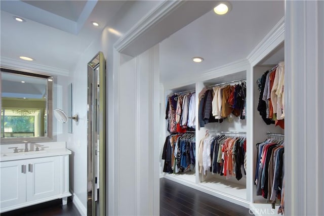 closet with sink