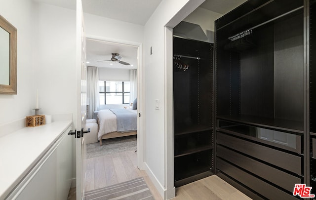 spacious closet with ceiling fan and light hardwood / wood-style floors