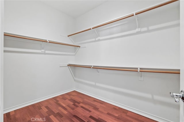 spacious closet with dark wood-style floors