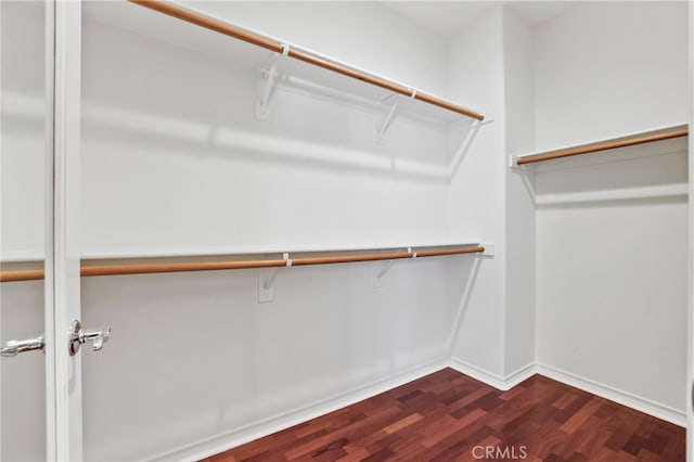 walk in closet featuring dark hardwood / wood-style floors