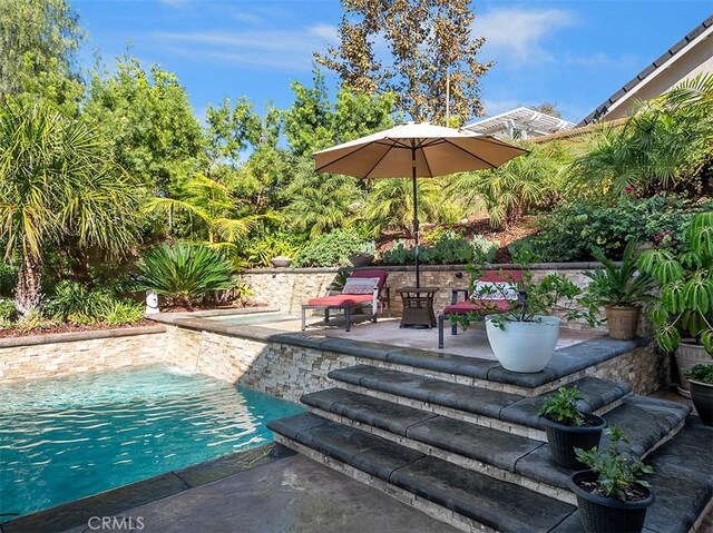 view of swimming pool with a patio area